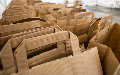 纸袋是新泽西州可持续发展的选择